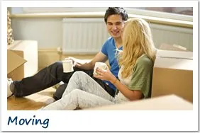 international removals to new zealand 